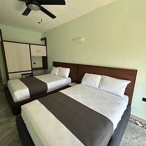 Twin Room Terrace